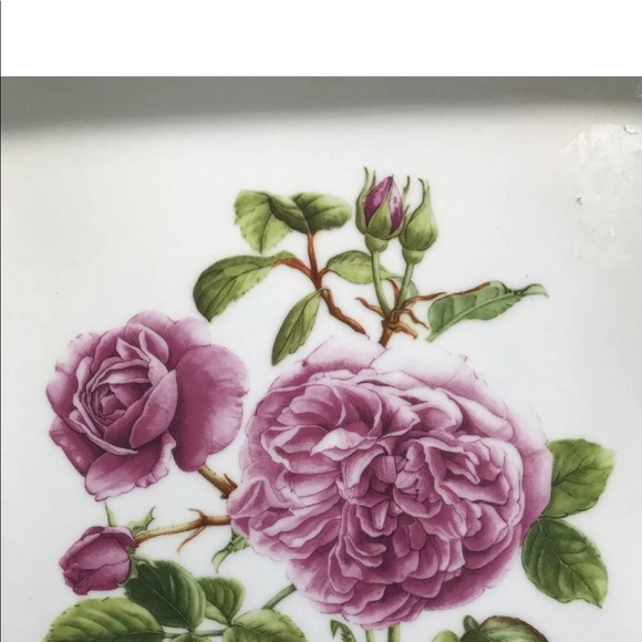 Portmeirion Botanic Roses PORTMEIRION Square Plate - Picture 2 of 3